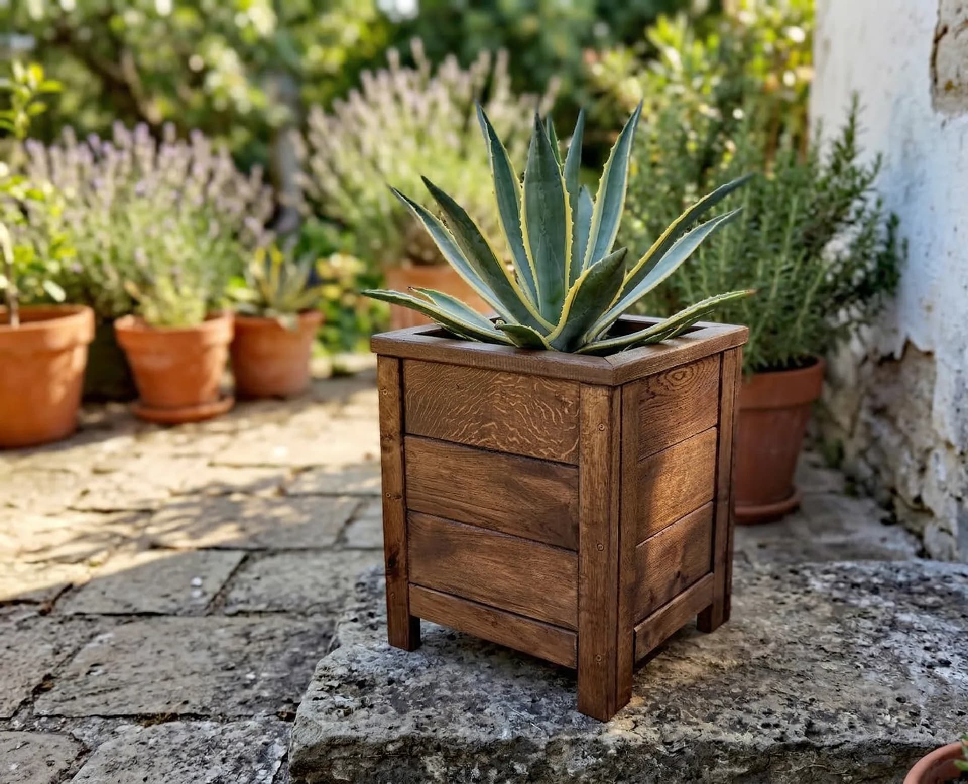 Ghiveci Stejar Ania - miniatura 2